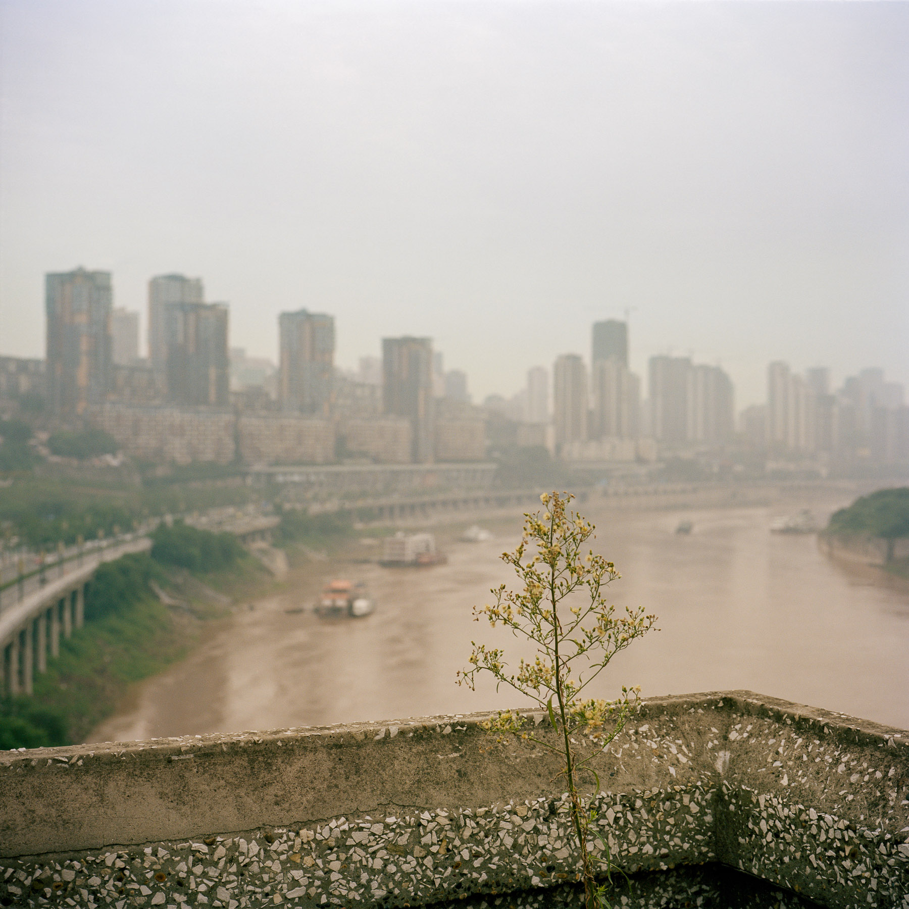 Chongqing-anewcelebration01